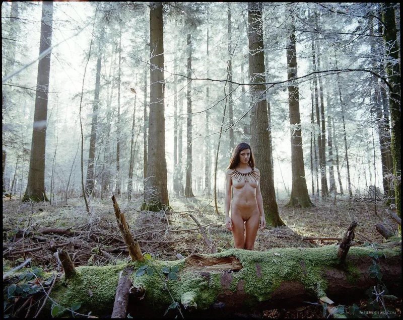 In the forest nude