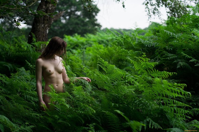 Girl in fern