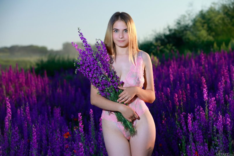 Dakota pink