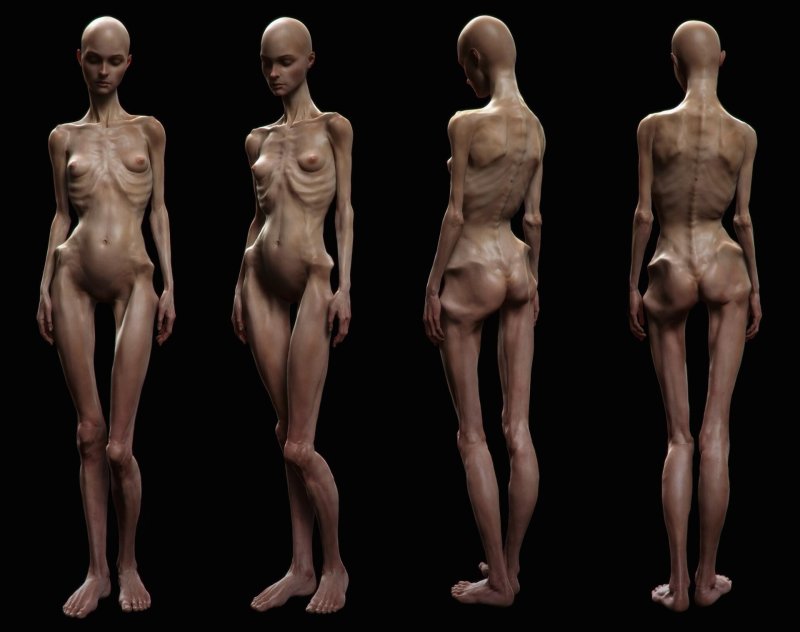 Anatomy of the female body