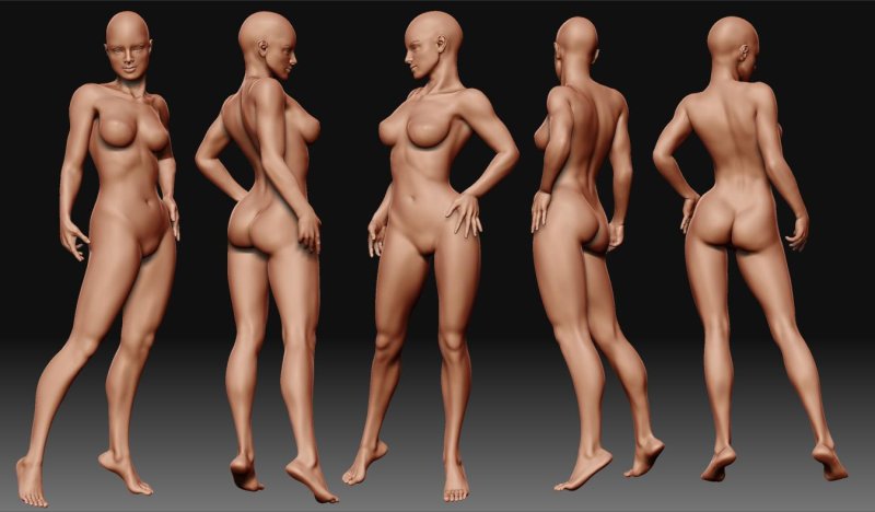 Naked female anatomy