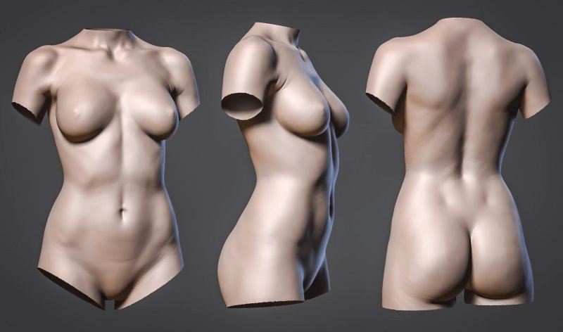 Modeling of a bare female body