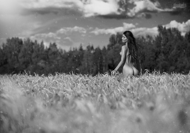 Nude erotica