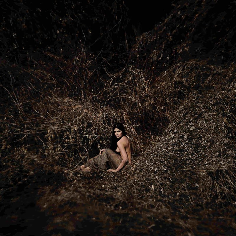 David Dubnitsky