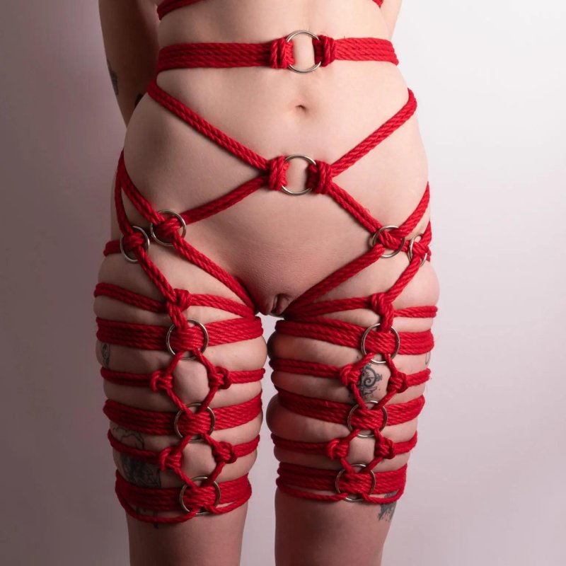 Shibari 18