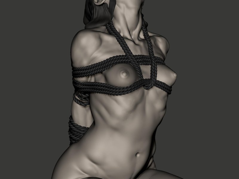Bdsm Shibari