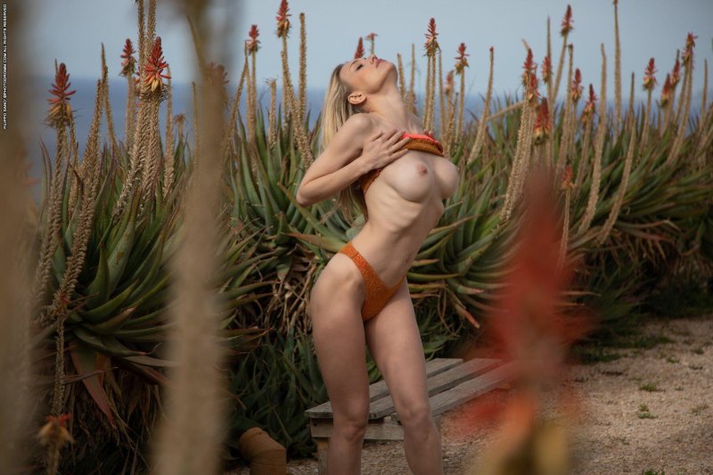 Models nude