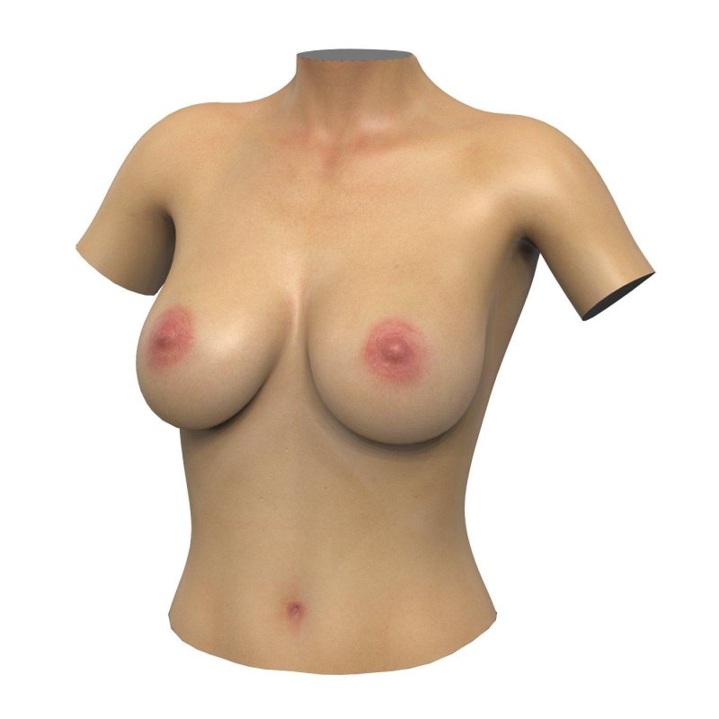 Big artificial breasts