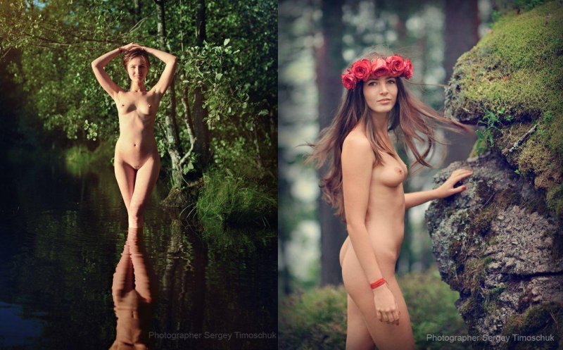Sergey Tymoshchuk photographer Dryad