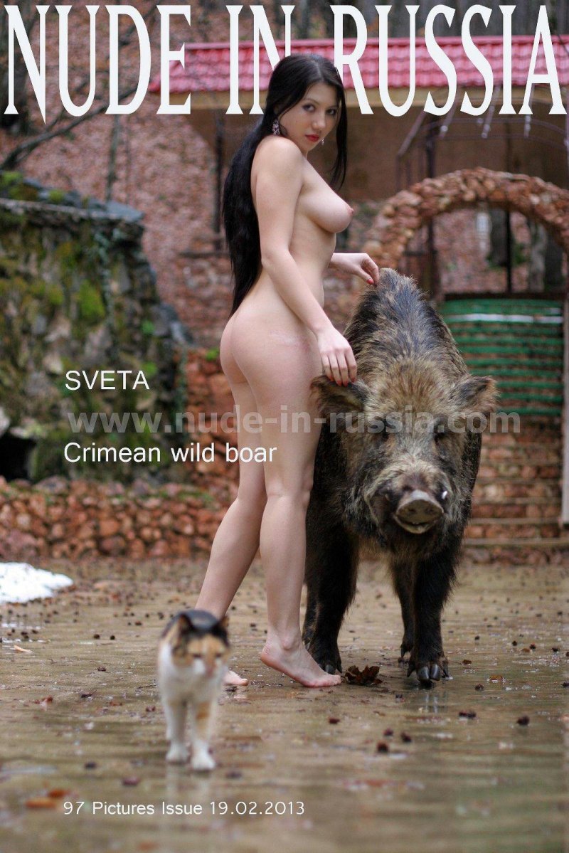 Wild boar