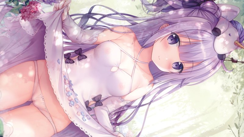 Erotica hentai