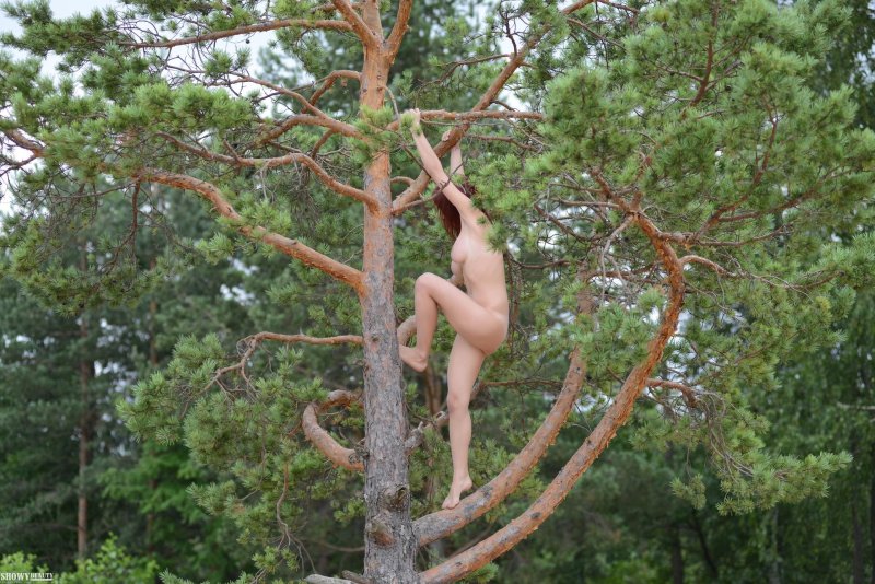Naked woman climbed into a tree