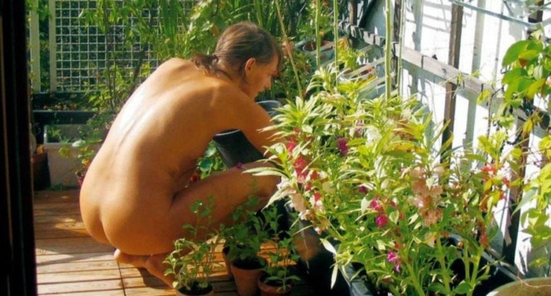 Naked women in the country garden
