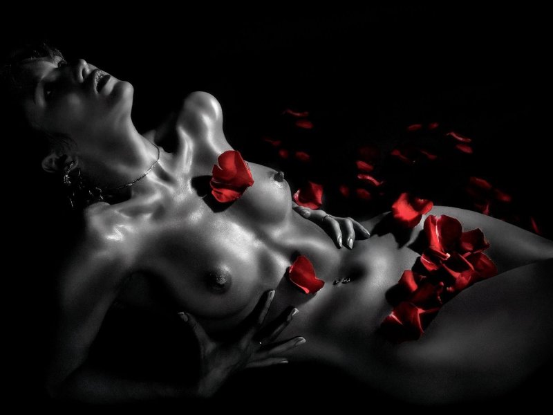 Naked women in rose petals