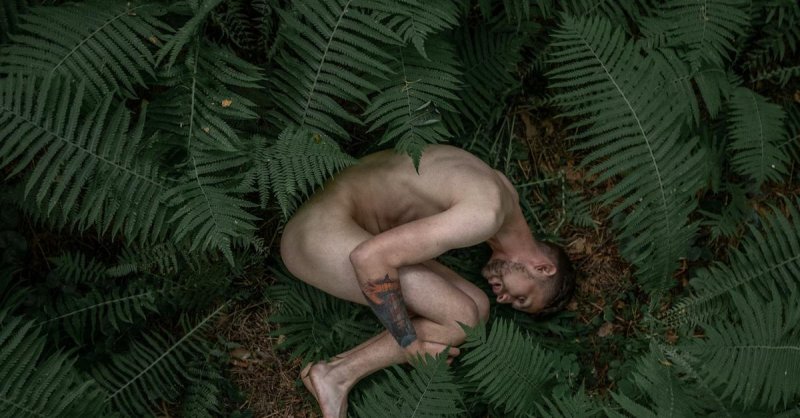 Naked men in the forest