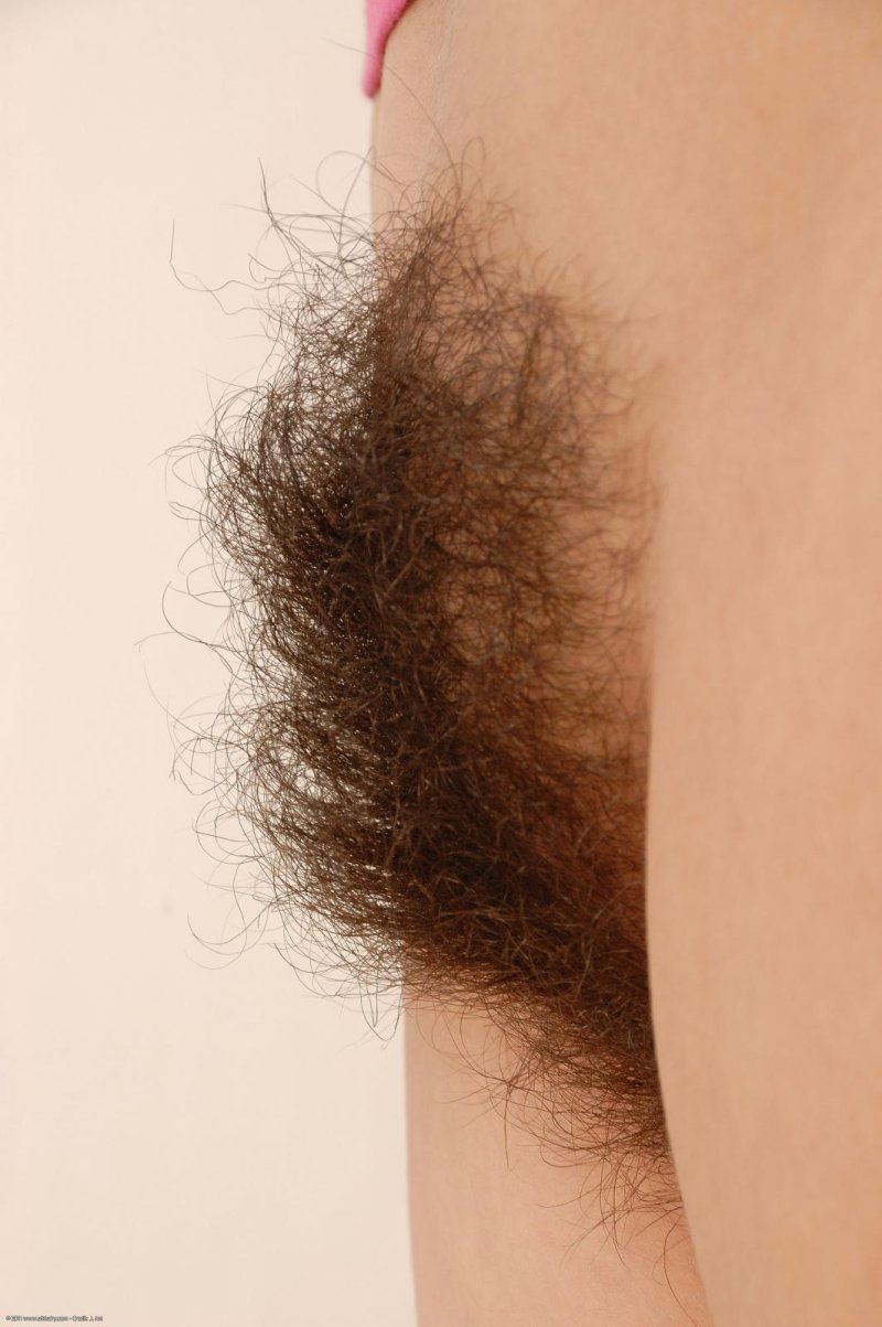 Curly pubic hair