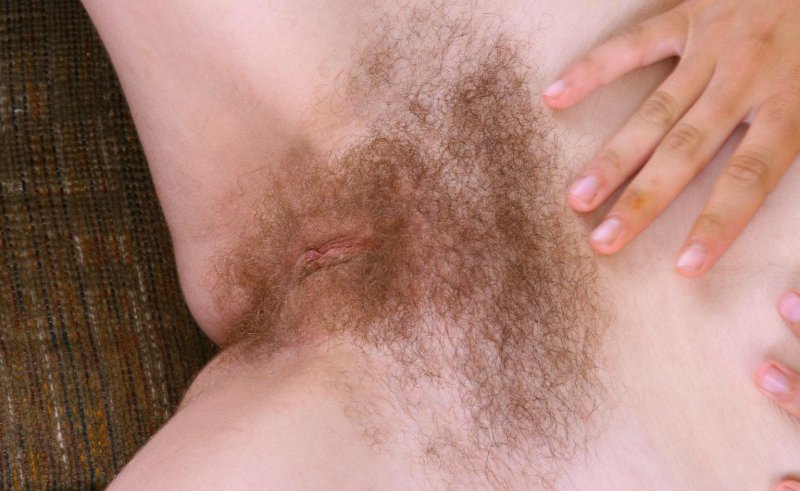 Hairy pubis