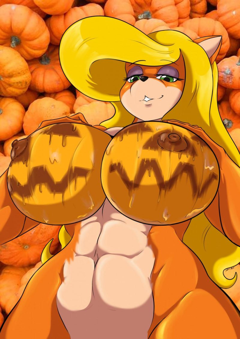 Tawna bandicoot