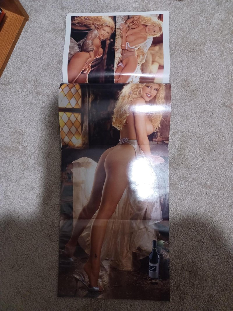 Pamela anderson lee