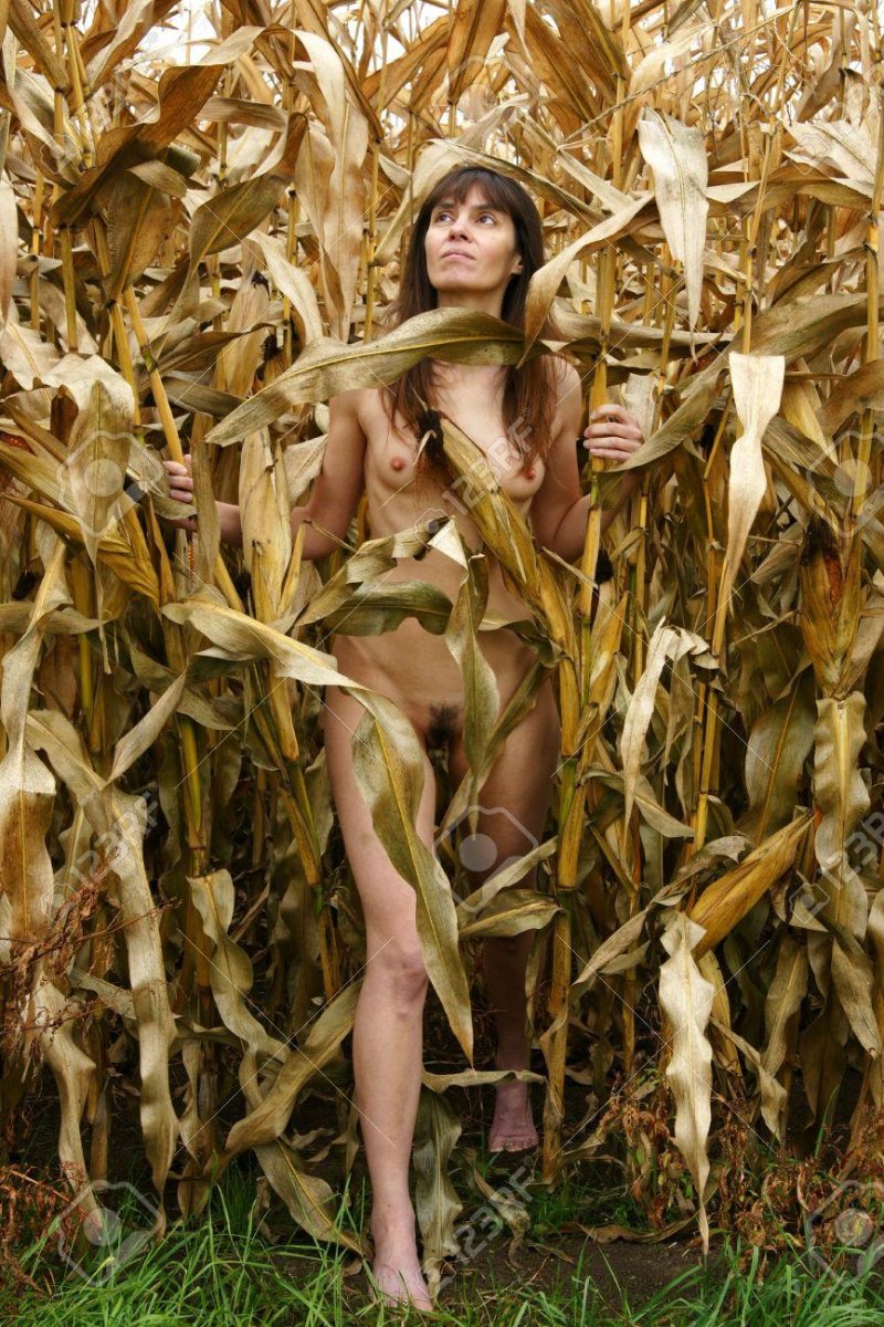 Photoshoot in corn