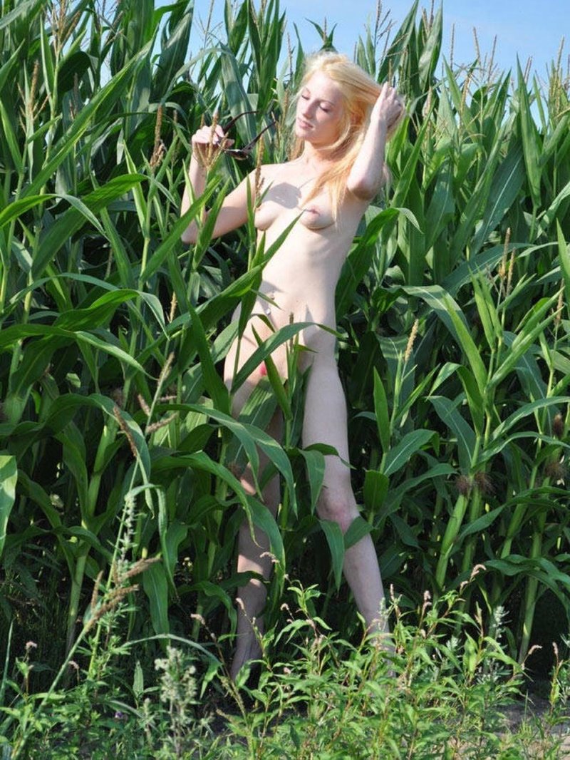 Corn field