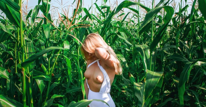 Photo shooting in the corn field