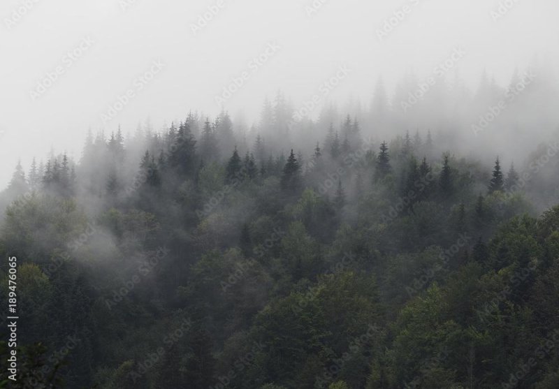 Mount Pogum