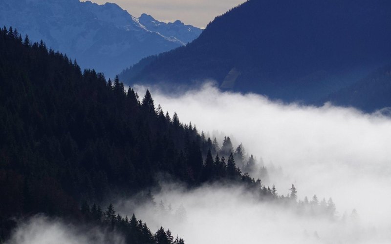 Mountains with fog