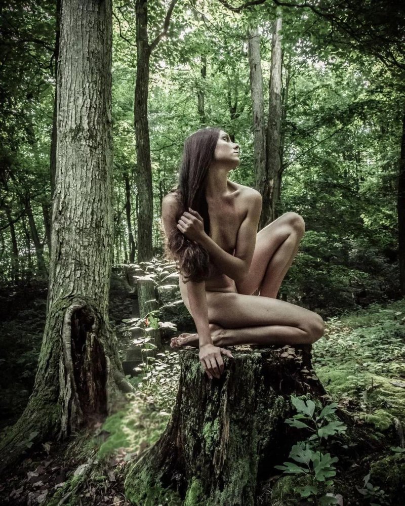 Naked Forest