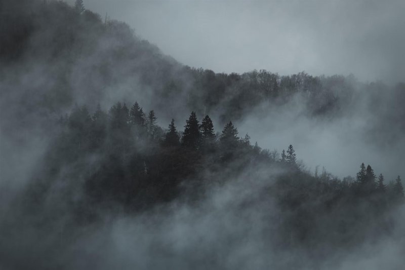 Fog of the mountain