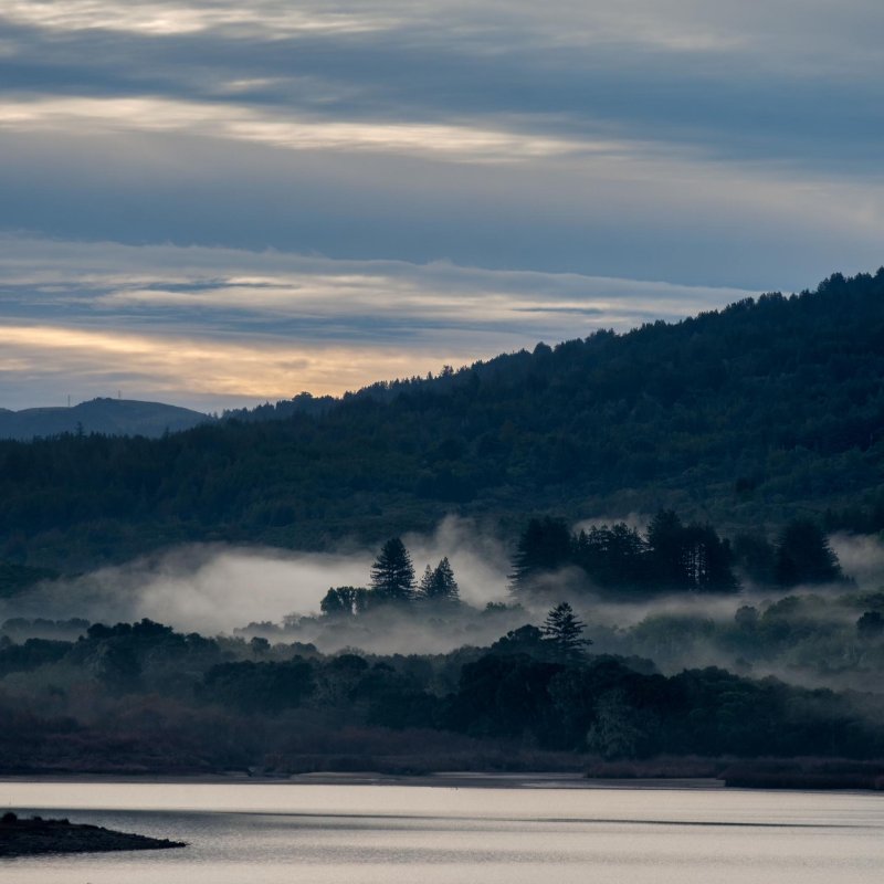 Mountains Forest Fog