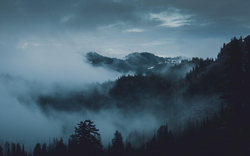 Fog of the mountain