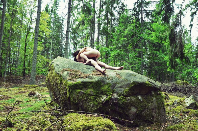 Sex in the forest