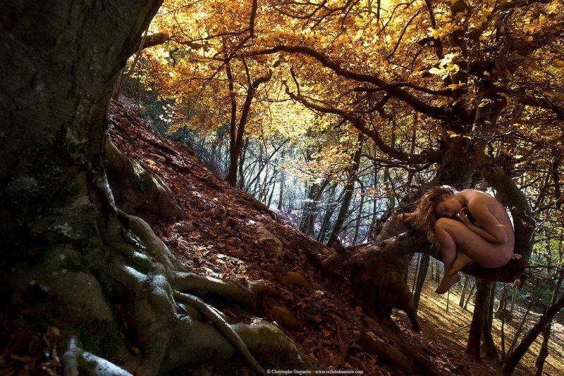 Photoshoots in the forest