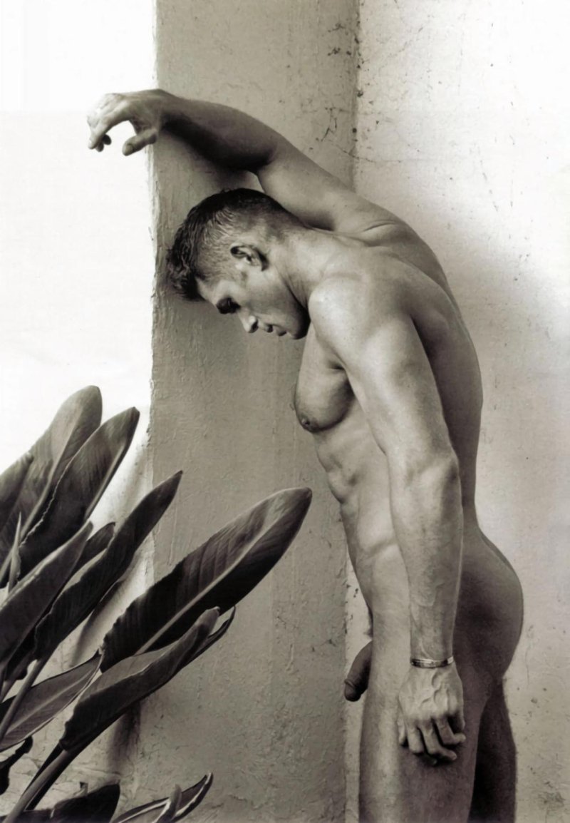 Male erotica
