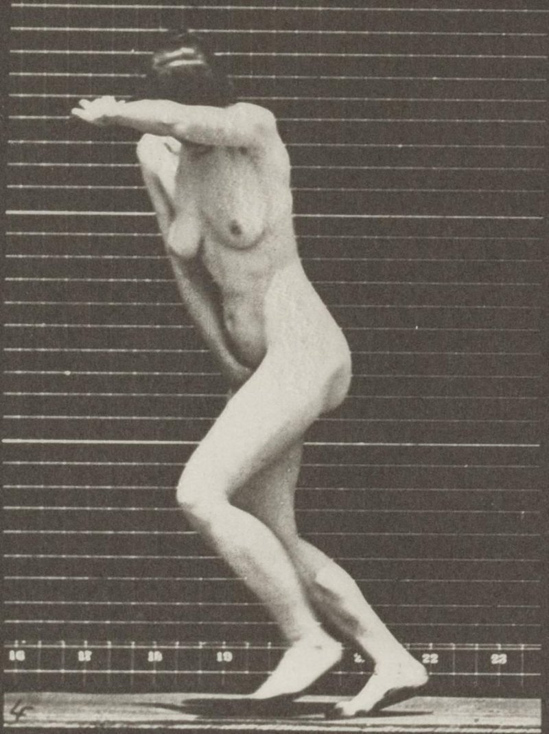 Muybridge eadweard