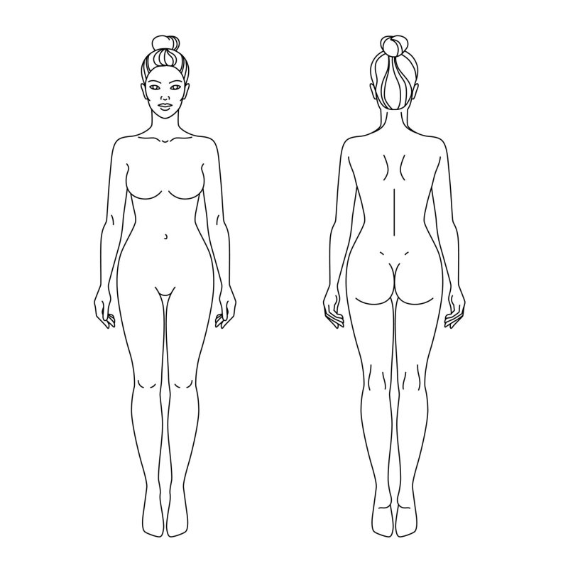 Contour of the female body