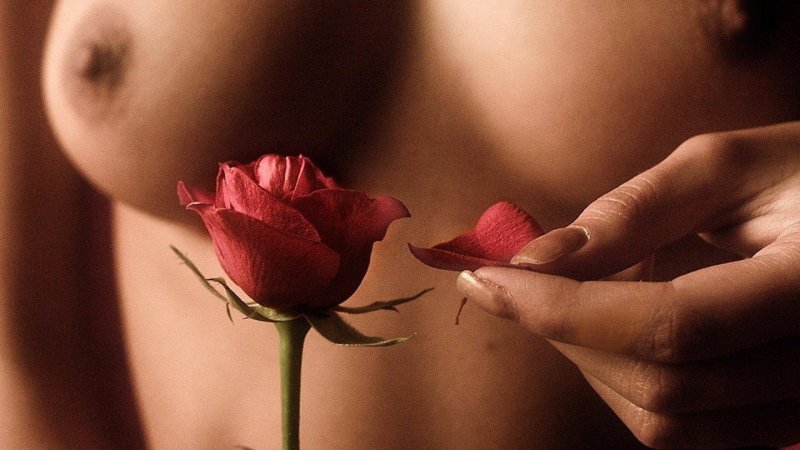 Female breast Erotica